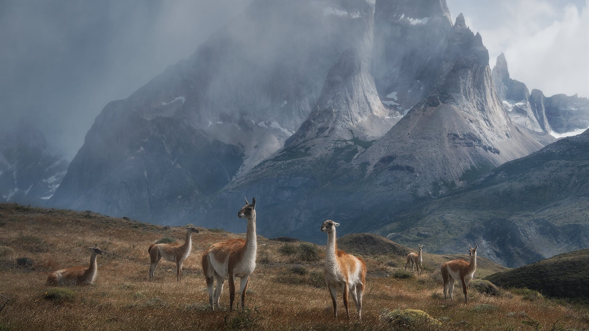 瑞典队：2024年国际乒联混合团体世界杯的黑马之势，瑞典乒乓球联赛