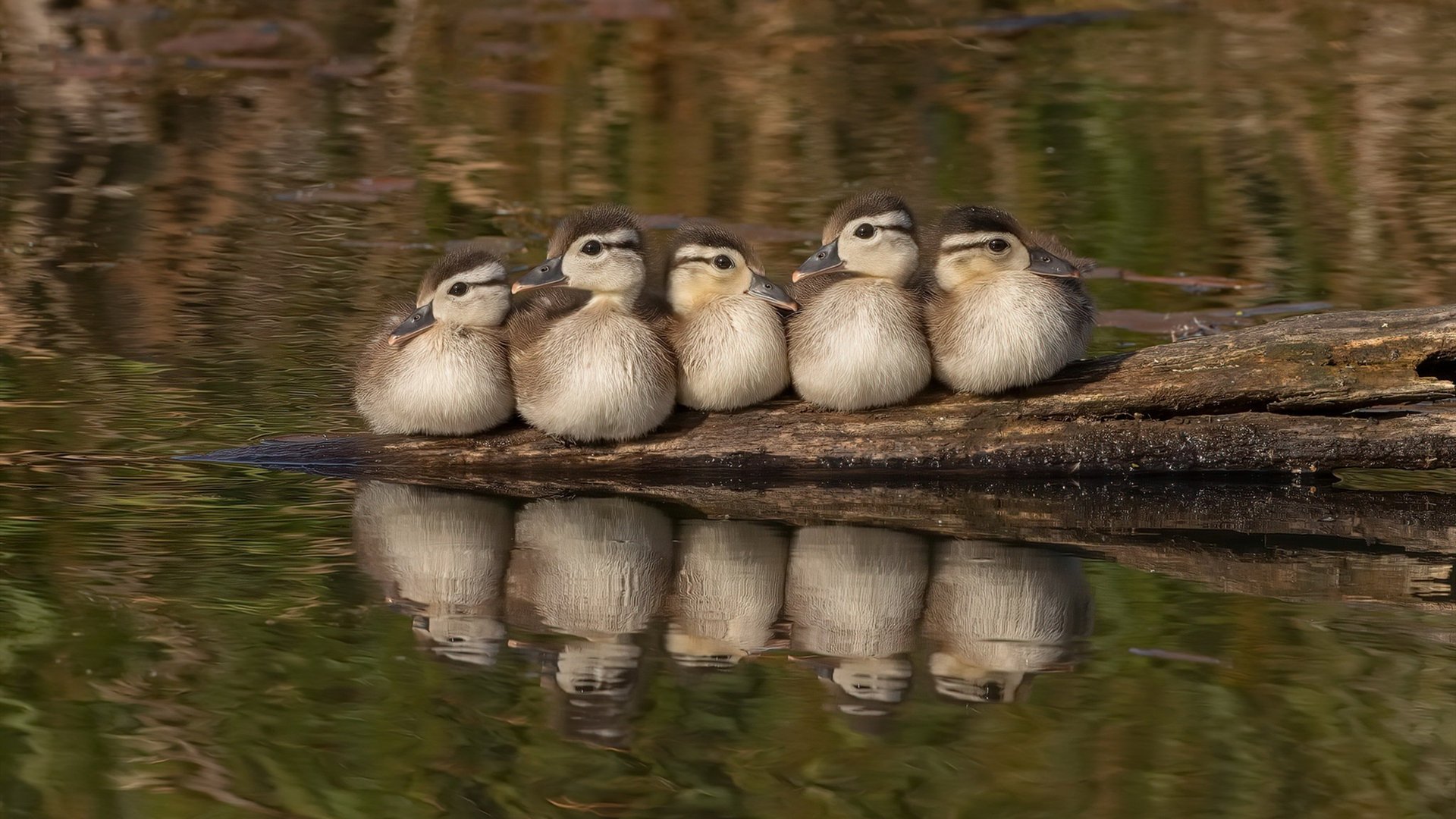 从战术选择到进球手段：压迫正主导现代足球，足球压迫防守