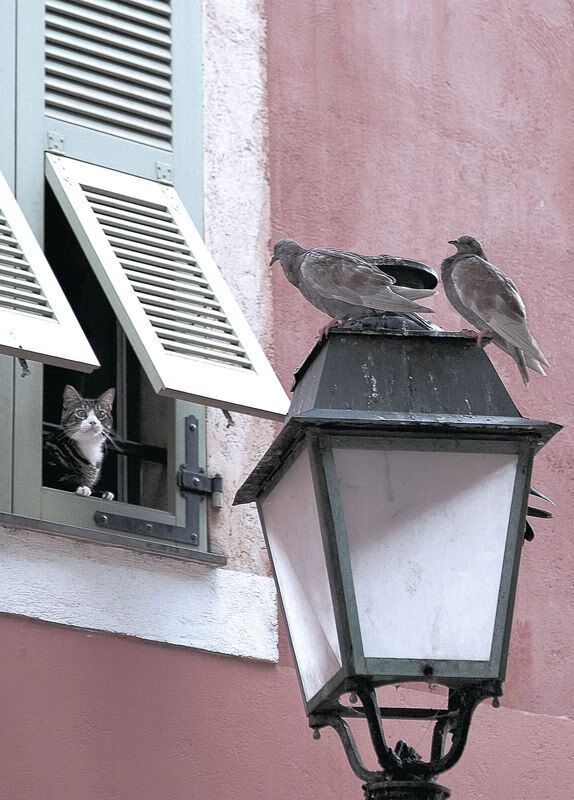 体育新闻中心发布青少年体育内容传播标准，青少年体育锻炼宣传